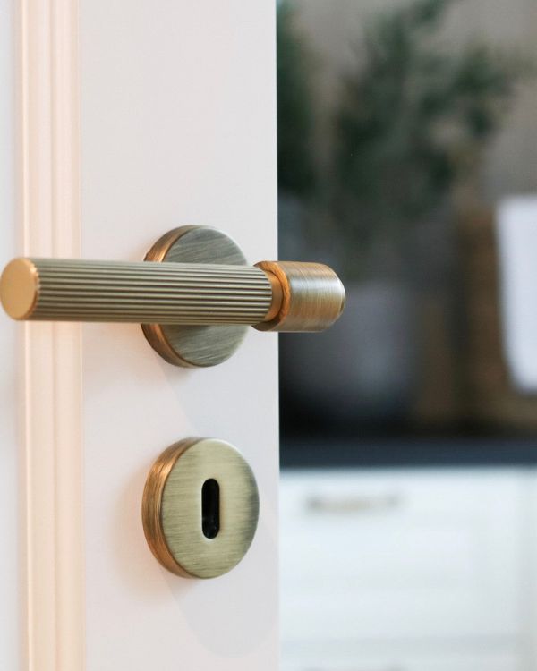 Door Handles and Toilet Locks