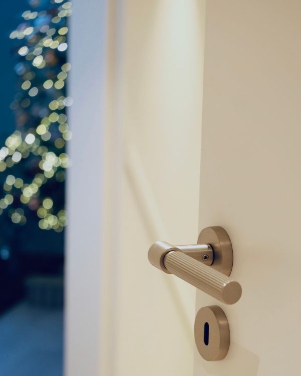 Door Handles and Toilet Locks