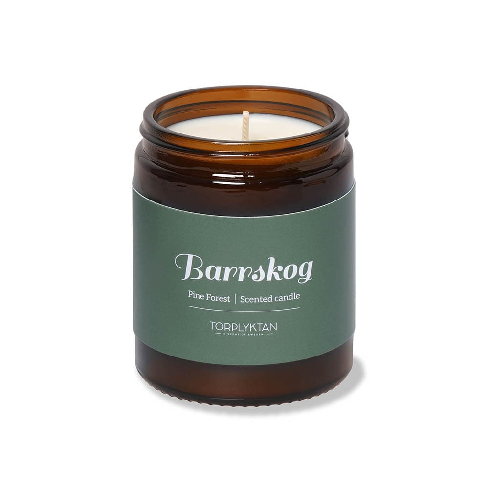 Scented candle - Pine Forest - 150g