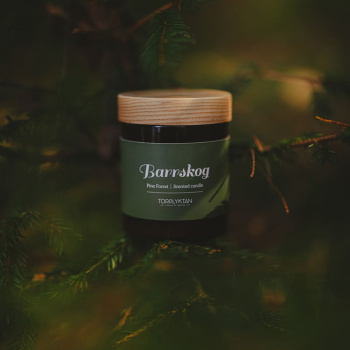 Scented candle - Pine Forest - 150g