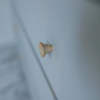 Cabinet Knob Rut - Untreated Ash 