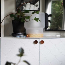 Cabinet Knob Olympia - Oak