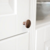 Cabinet Knob Brutus - Walnut