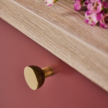 Cabinet Knob Copenhagen - 25mm - Raw/Polished Brass