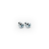 Screw for Roller Rail 2-pack