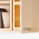 Cabinet Knob Solo - 21mm - Brushed Stainless