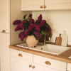 Bin Pull 3922 - Brass (Matte)