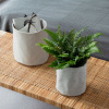 Storage bag - Beige