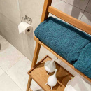Base 200 Toilet Roll Holder - Brushed Stainless Steel