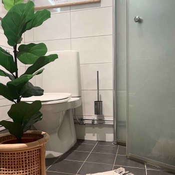 Solid Toilet Brush - Chrome