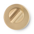 Toilet Lock R - Brushed Gold Toilet Lock R - Brushed Gold