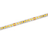 LED-Strip Flexyled SHEP6B EVO