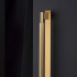 Handle Arpa/Back Plate - Brushed Brass