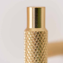 Handle Manor/Back Plate - Gold