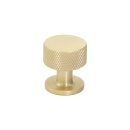 Cabinet Knob Crest - Brass
