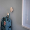 Hook Mushroom - Untreated Birch